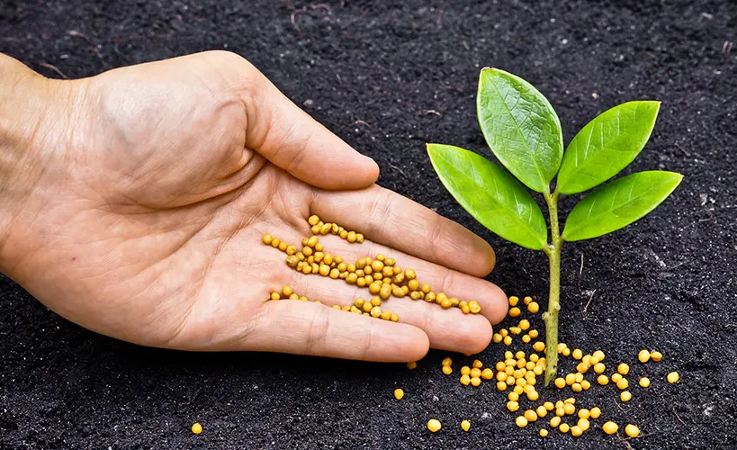 fertilizing-f fertilizing