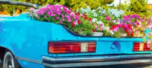 Safe Curbside Pickup
